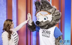 俄罗斯世界杯吉祥物(俄罗斯世界杯吉祥物)