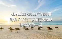 cba2022-2023广东宏远球员 2023广东东莞大益队阵容名单一览