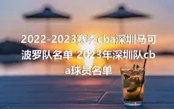 2022-2023赛季cba深圳马可波罗队名单 2023年深圳队cba球员名单