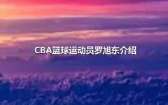 CBA篮球运动员罗旭东介绍