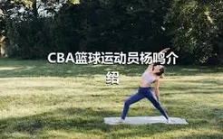 CBA篮球运动员杨鸣介绍