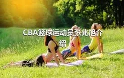 CBA篮球运动员张兆旭介绍