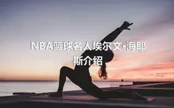 NBA篮球名人埃尔文·海耶斯介绍
