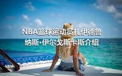 NBA篮球运动员扎伊德鲁纳斯·伊尔戈斯卡斯介绍
