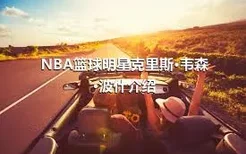 NBA篮球明星克里斯·韦森·波什介绍