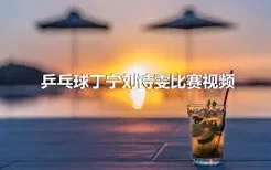 乒乓球丁宁刘诗雯比赛视频