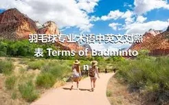 羽毛球专业术语中英文对照表 Terms of Badminton