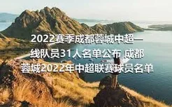 2022赛季成都蓉城中超一线队员31人名单公布 成都蓉城2022年中超联赛球员名单