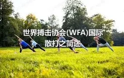 世界搏击协会(WFA)国际散打之简述