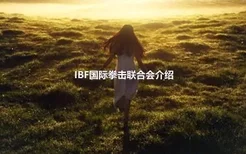 IBF国际拳击联合会介绍