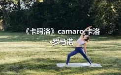 《卡玛洛》camaro,卡洛·罗马诺